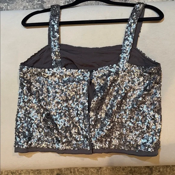 Abercrombie and Fitch Silver Sequin Crop Tank - Picture 6 of 6